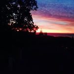 Dennis Egan - @egan_dennis - Instagram