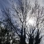 Dennis Egan - @dennisegan6783 - Instagram