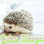 Dennis Eichler - @eichlerdennis - Instagram