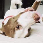Dennis Eisenberg - @denniseisenberg - Instagram