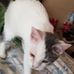 Dennis  eldridge - Facebook