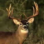 Dennis Eldridge - @dennis.eldridge.359 - Instagram