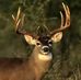 Dennis Eldridge - Facebook