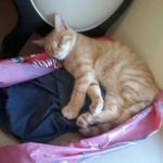 Dennis Eldridge - @dennisr.eldridge - Instagram