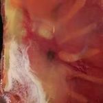 Dennis R Engle - @dennis.engle - Instagram