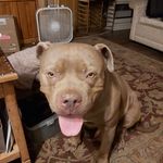 Dennis Estes - @dennisestes - Instagram