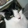 Dennisfan0o2 - @dennisfan0o2 - TikTok