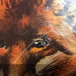 Dennis Fehr - @greencoyote42 - Instagram