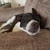 dennisfellows - @dennisfellows - TikTok