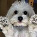Dennis Flickinger - Facebook