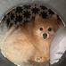Dennis Fogleman - Facebook