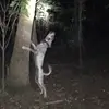 Dennis Fortenberry - @dennisfortenberry - TikTok