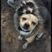 Dennis Fraley - Facebook