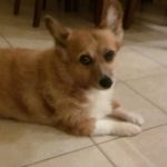 Dennis Fraley - @jlfraley2 - Instagram