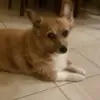 dennisfraley1 - @dennisfraley1 - TikTok
