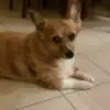 dennisfraley3 - @dennisfraley3 - TikTok