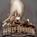 Dennis Franks - @djfranks59 - Instagram