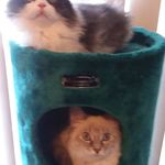 Dennis Friedman - @dennis.friedman.169 - Instagram