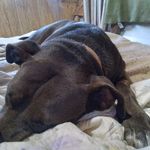 Dennis Galbraith - @elizabethgal88.77 - Instagram