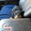 Dennis Gentry402 - @mrhitecaol.com - TikTok