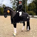 Dennis Georg - @dressurausbildung.dennisgeorg - Instagram