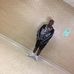 Dennis Gilkey - Facebook