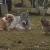 Dennis Glaze - @dennis.glaze5 - TikTok