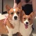 Dennis George Go - Facebook