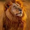 Dennis GoodWill PilGrim - @dennis.goodwill.p - TikTok