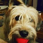 Dennis Grady - @denniskgrady - Instagram