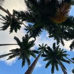 Dennis Grech - @dgrech2021 - Instagram