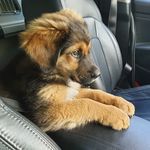 Dennis Greiner - @dennisohneinsta - Instagram