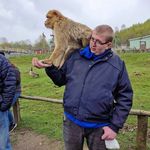 Dennis Greinert - @dennis_greinert_ - Instagram