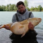 Dennis Brendel - @sharpercarper_69 - Instagram