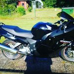 Dennis Greve - @greve84 - Instagram