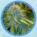 Dennis Grier - @dennis.grier.739 - Instagram