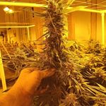 Dennis Grier - @dennisgrier7 - Instagram