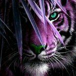 Dennis Griggs - @dennisgriggs - Instagram