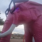 Dennis Griggs - @dennis.griggs - Instagram