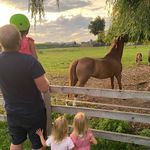 Dennis Grimme - @dennis_grimme_ - Instagram