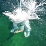 Dennis Grimwood - @dennisgrimwood - Instagram