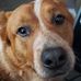 Dennis Grimes - Facebook