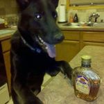 Dennis Grimm - @dennis.grimm.50 - Instagram