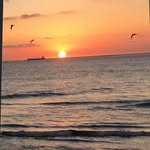 Dennis Grinstead - @dendenxyz - Instagram