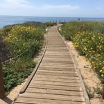 Dennis Grinstead - @dennisgrinstead - Instagram