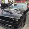 dennis.gripp - @dennis.gripp - TikTok