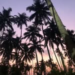 Dennis Grissom - @grissom677 - Instagram
