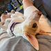Dennis Grogan - Facebook