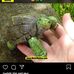 Dennis Groll - Facebook