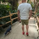 Dennis Groth - @grothdennis - Instagram